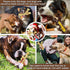 2 Pack Dog Chew Toys for Aggressive Chewers, Tough Indestructible Dog Bones for Medium/Large Breeds