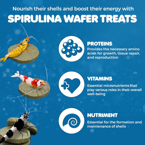 SunGrow Spirulina Protein Food Wafer for Shrimp, Hermit Crab, Pleco, Catfish, Treat for Chinchilla & Guinea Pig