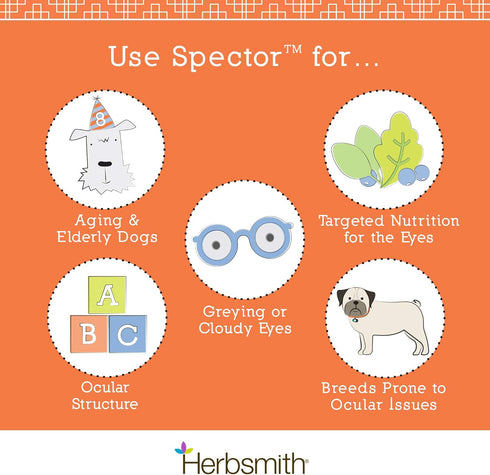 Herbsmith Spector - Eye & Vision Support for Dogs, Senior Supplement for Greying Eyes, Antioxidant, 60Ct Large Chews