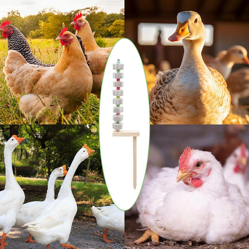 MinrzPet 2 Pack Chicken Toys - Chicken Coop Accessories with Calcium Stone & Wood Stake - Enrichment Toys for Hens