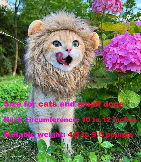 Lion Mane Wig for Cat Costume, Adjustable Washable Fancy Hair Dress for Halloween, Christmas, Easter (Brown)