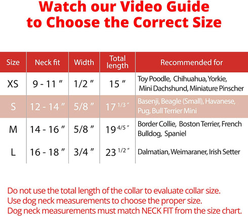 BRONZEDOG Rolled Leather Dog Collar for Small to Large Dogs with QR ID Tag, Scarlet Red (S: 12-14 Inch)
