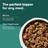 3oz, 8 Pack Jinx Beef & Chicken Wet Dog Food Pouches, Meal or Dog Food Topper Mix-in, Made with Real Beef & Chicken