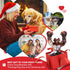 Dog Toys for Aggressive Chewers, Indestructible Dog Bones for Small/Medium/Large Dogs, Teeth Cleaning and Training Toys