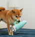 Nestpark Tumbler Cup Funny Dog Toy - Parody Plush Squeaky Crinkle Dog Toy (Mint Green)
