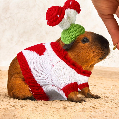 10 Pcs Guinea Pig Stuff Includes 5 Mini Hats & 5 Clothes for Small Animals, Cozy Hand Knitted Set