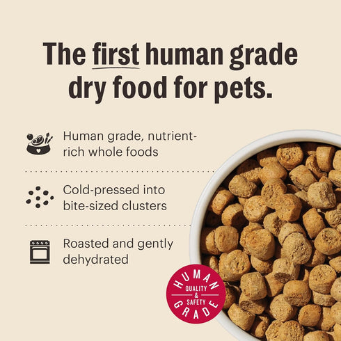 5 lb The Honest Kitchen Human Grade Whole Food Clusters Dry Dog Food - Grain Free Beef Bag