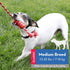 KONG Dental Chew Toy with Rope, Medium Dogs, Stuffable, Durable Natural Rubber, Cleans Teeth & Gums