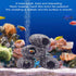 PINVNBY Aquarium Stone Hideaway Decoration, Resin Cichlids Rock Decor for Betta Fish Tank