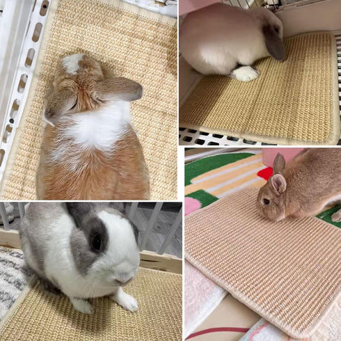 2PCS 16x12 Oncpcare Rabbit Scratch Mat Natural Bunny Scratching Pad Claws and Teeth Care Rabbit Mats for Cages Chew