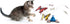 1400013266 OurPet's Whirling Wiggler Spinner Cat Toy, Model: