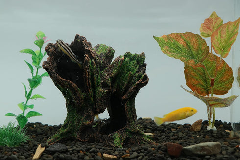 AQUA KT Tree Stump Trunk Hollow Decoration, Betta Cichlid Cave Rocks for Fish Hiding Tank