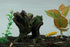 AQUA KT Tree Stump Trunk Hollow Decoration, Betta Cichlid Cave Rocks for Fish Hiding Tank