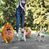50 Pcs Colorful Dog Bandana Collar Set, Includes 10 Dog Bow Tie, 10 Necktie Collar, 10 Pet Scarf, 10 Dog Bow Flowers,