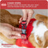 Downtown Pet Supply Step in Dog Harness for Small Dogs - No Pull, Medium, Red - Adjustable Harness with Padded Mesh