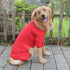 Lovelonglong Four Feet Dog Pajamas, Lightweight Pure Cotton Dog Jumpsuits, Stylish PJS for Large Medium Small Dogs, Red