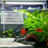 SunGrow Betta Fish Cave, Coconut Shell Habitat, Spacious Hideout for Resting and Breeding, 1 Pc