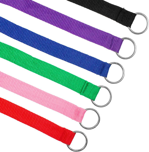 Downtown Pet Supply - 6ft Dog Kennel Slip Lead Leash - Veterinarian, Grooming, Daycare & Animal Rescue Supplies - One