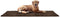 Furhaven 60" x 30" Highly Absorbent Runner Door Mat for Muddy Paws, 100% Washable Chenille Shammy Rug - Brown,