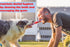 Dog Cotton Rope Toys Set for Medium and Large Dogs - Almost Indestructible, Washable Dental Floss, Tough Tug of
