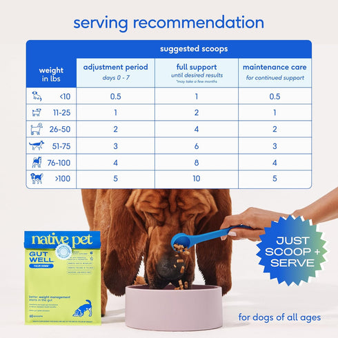 60 Native Pet GutWell Trim Down - Weight Management Dog Food Topper & Weight Loss Supplement Promotes Feelings