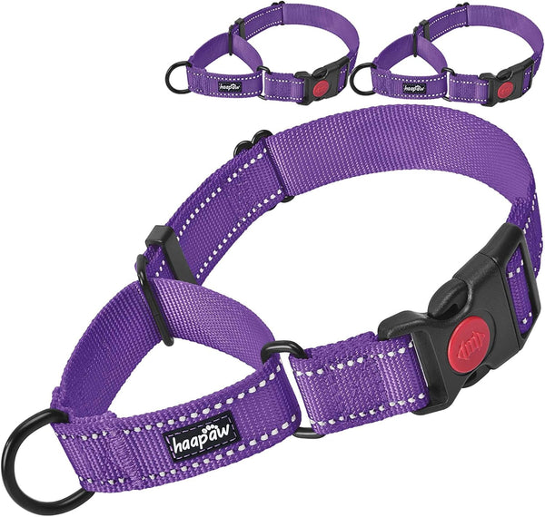 haapaw 2 Packs Martingale Dog Collar with Reflective Quick Release Buckle for Small Medium Large Dogs (Medium, Purple)