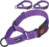 haapaw 2 Packs Martingale Dog Collar with Reflective Quick Release Buckle for Small Medium Large Dogs (Medium, Purple)