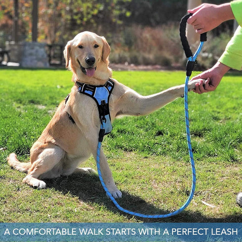 5ft 1/2in Blue Dog Leash for Large & Medium Dogs, Reflective Heavy Duty Rope with Padded Handle