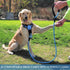5ft 1/2in Blue Dog Leash for Large & Medium Dogs, Reflective Heavy Duty Rope with Padded Handle