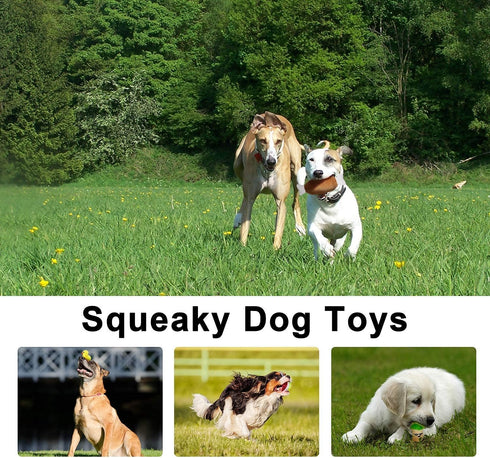 LEGEND SANDY 14 Pack Cute Stuffed Plush Dog Toys - Squeaky Fruits and Vegetables for Small Medium Pets