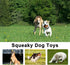 LEGEND SANDY 14 Pack Cute Stuffed Plush Dog Toys - Squeaky Fruits and Vegetables for Small Medium Pets