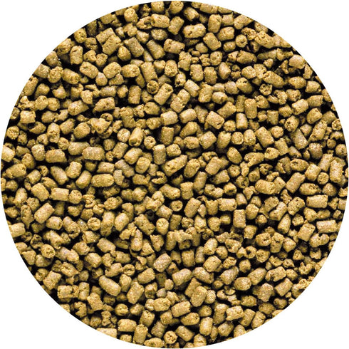 Hikari 042220 Carnivore Medium Sinking Pellets - Marine Fish Food, One Size