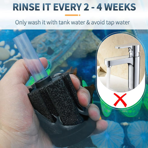 4 Pack 10 Pawfly Aquarium Nano Bio Sponge Filter Quiet Betta Fry Shrimp and Small Fish Foam Filter for Tiny Fish Tank
