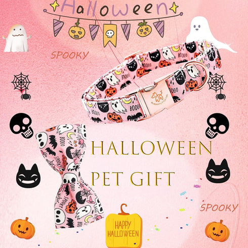 Elegant little tail Fall Dog Collar with Bow - Halloween Pumpkin Bow for X-Small Puppy, Soft Dog Bowtie Collar