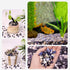Appatite Reever 2lbs 1200+Pcs, Sodalite Crystal Chips Bulk Blue Polished Crushed Crystals Gemstones Natural Aquarium