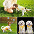 4 Pieces Pet Clothes Set - 2 Cute Pet Dresses & 2 Breathable T-Shirts for Medium Dogs (Pineapple, Sunflower)