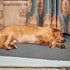1 82 82, NICETOWN Sofa Slipcover Reversible Sofa Cover Water Resistant Couch Cover Furniture Protector for Pets Kids