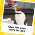 14 oz. Temptations Jumbo Stuffed Cat Treats, Crunchy and Soft Cat Treats, Tasty Chicken Flavor, Tub