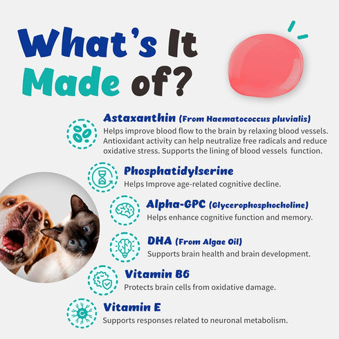 Recogry Liquid Cognitive Support for Dogs & Cats - Brain Health Supplement with Natural Ingredients (90ml)