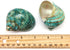 PEPPERLONELY 2 2-1/2 Inch 3 Inch PC Natural Large Hermit Crab Shells, Green Blue Gade Turbo, ~