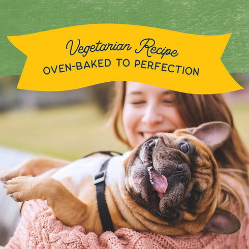Natural Balance Limited Ingredient Rewards Crunchy Biscuits, Vegetarian Dog Treats, Peanut Butter Recipe, 14 Ounce