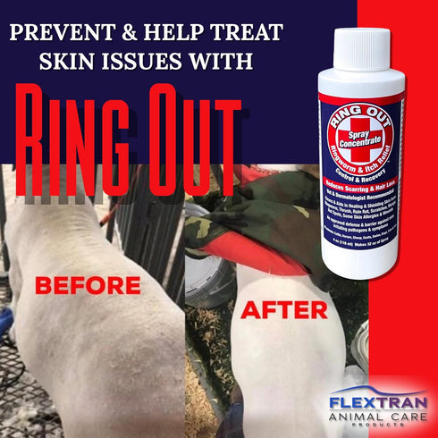 Ring Out 32 oz. Spray - Control and Help Ringworm for Cats, Dogs, Sheep, Goats, Cattle, Horses, and Pets