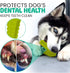 Super Shoe Dog Toy for Aggressive Chewers, Rubber Natural Teething Toys, Treat Dispenser and Toothbrush for Small
