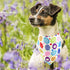 2 Pack, LosFong Easter Dog Bandanas Reversible Triangle Easter Eggs and Bunny Pet Scarf for Boys and Girls, Premium