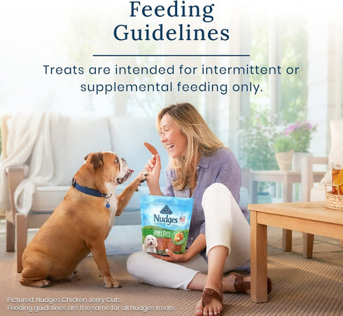 Blue Buffalo Nudges Homestyle Natural Dog Treats, Beef and Rice, 16oz Bag