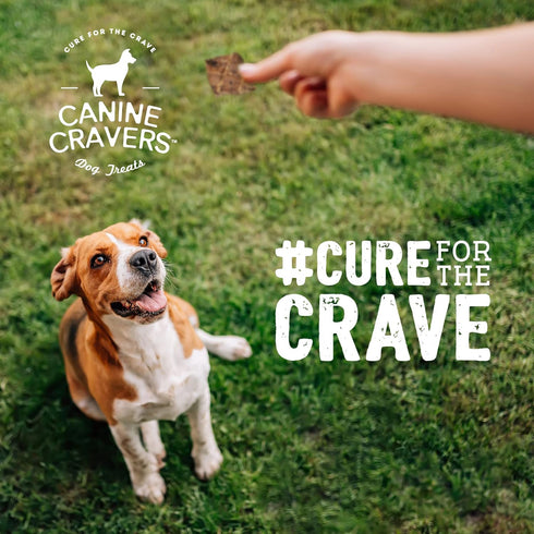 Canine Cravers Single Ingredient Dog Treats: Premium Lamb Fillets, Human Grade, 5.3 oz Hypoallergenic