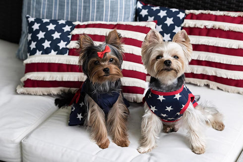 Fitwarm Patriotic Star Dog Shirt - 4th of July Holiday Clothes for Small Dogs, 100% Breathable Cotton