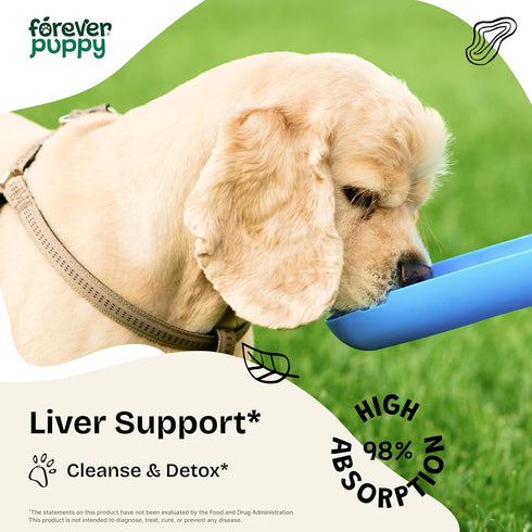 Milk Thistle for Dogs - Liver Supplements for Dogs w/Milk Thistle Liquid Extract - Herbal Liver Support Drops for Large Medium Small Dogs - Vegan Dog Vitamins and Supplements w/Silymarin - 4 oz