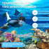 Snorkel Set Adult Snorkeling Gear Anti-Fog Panoramic Scuba Diving Mask and Dry Snorkel Tempered Glass Anti-Leak Snorkel