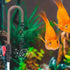 2 Pcs Aquarium Hook Water Changer, Bent Wall Mounted Fish Tank Water Changer with Flow Switch